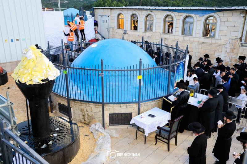 דב בער הכטמן