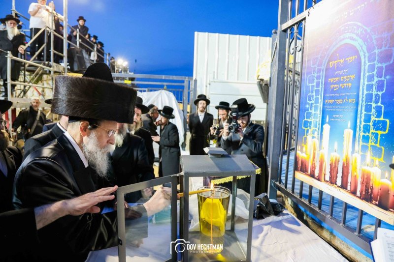 דב בער הכטמן