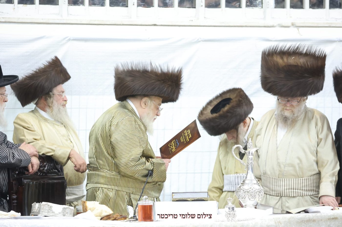 שלומי טריכטר
