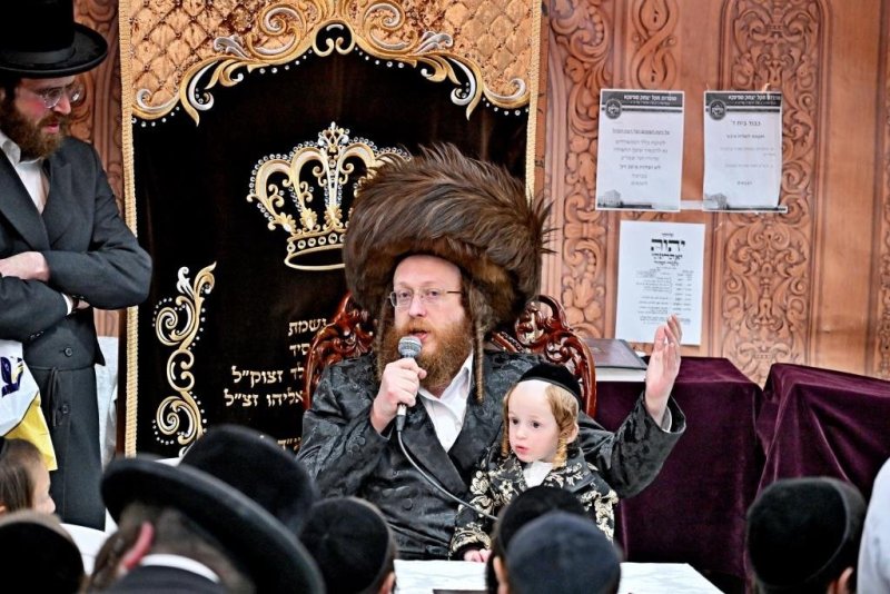 יהושע פרוכטר