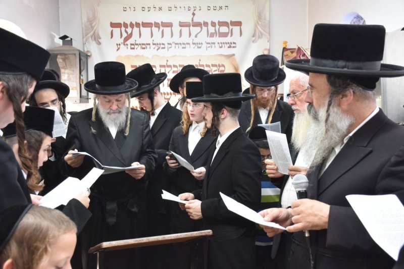 יהודה פרקוביץ