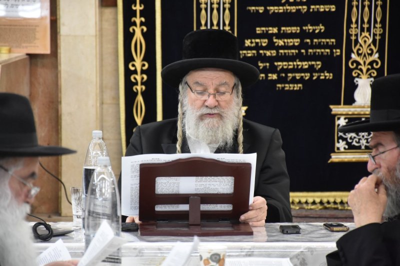 יהודה פרקוביץ