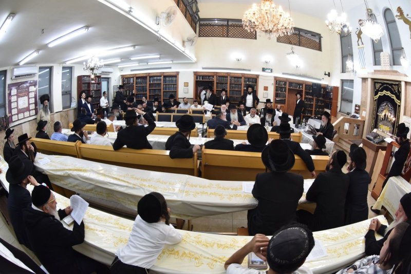 יהודה פרקוביץ