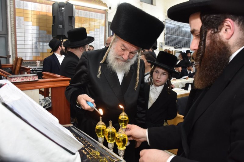 יהודה פרקוביץ