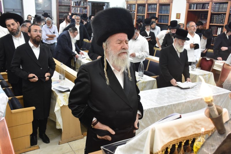 יהודה פרקוביץ
