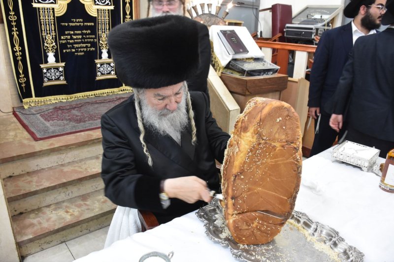 יהודה פרקוביץ