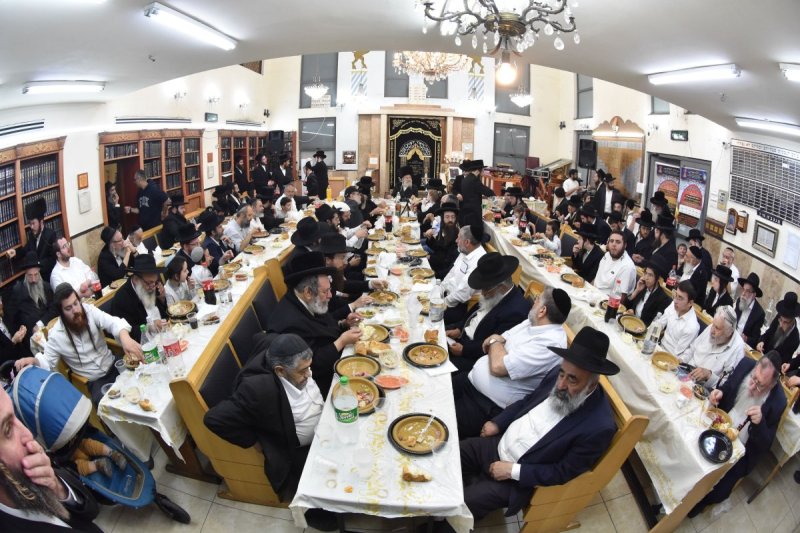 יהודה פרקוביץ