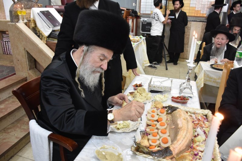 יהודה פרקוביץ