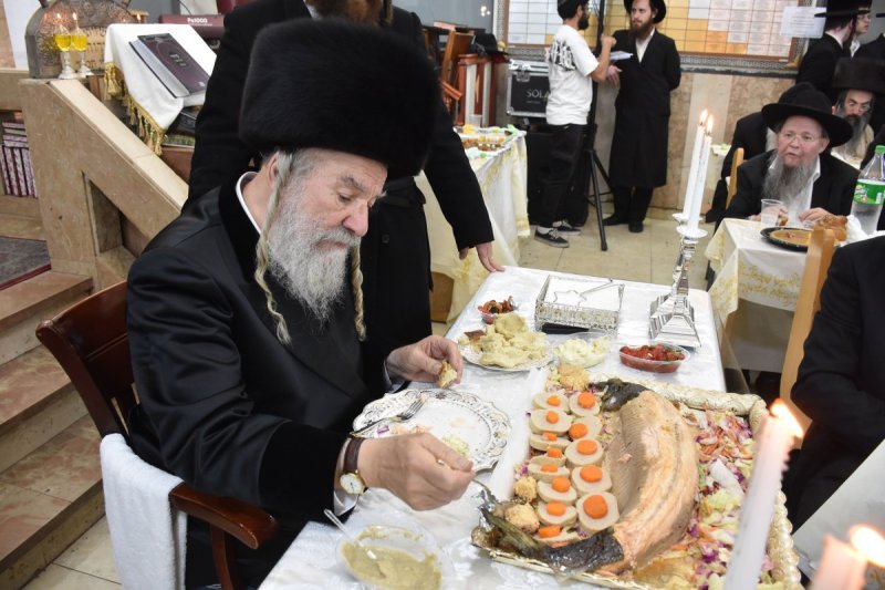 יהודה פרקוביץ