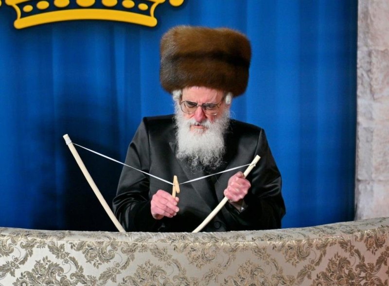 יהושע פרוכטר