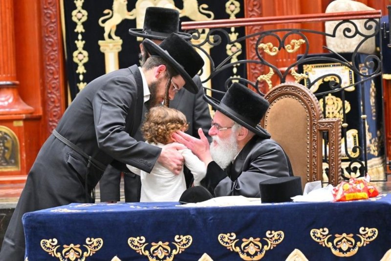 יהושע פרוכטר