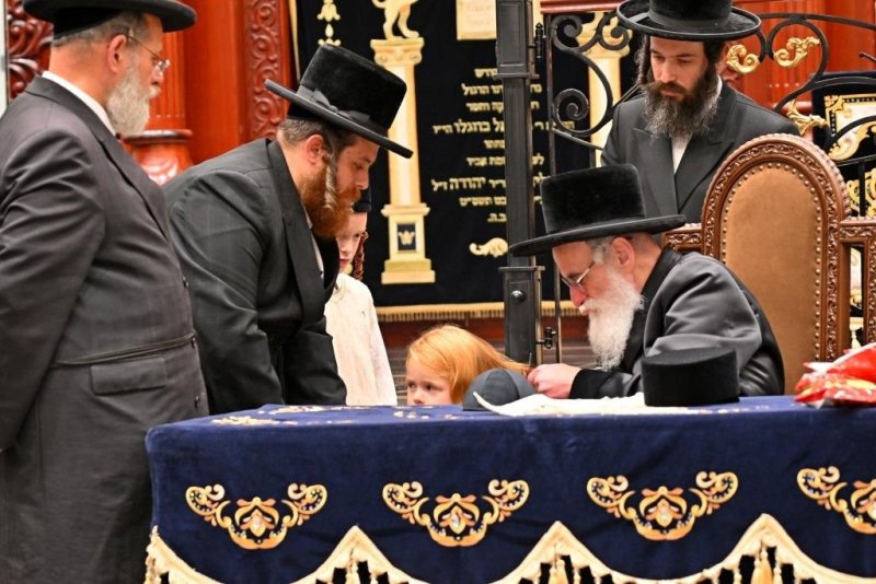 יהושע פרוכטר