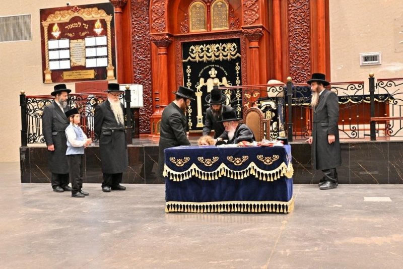 יהושע פרוכטר