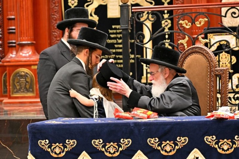 יהושע פרוכטר