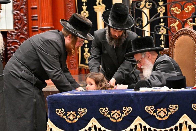 יהושע פרוכטר