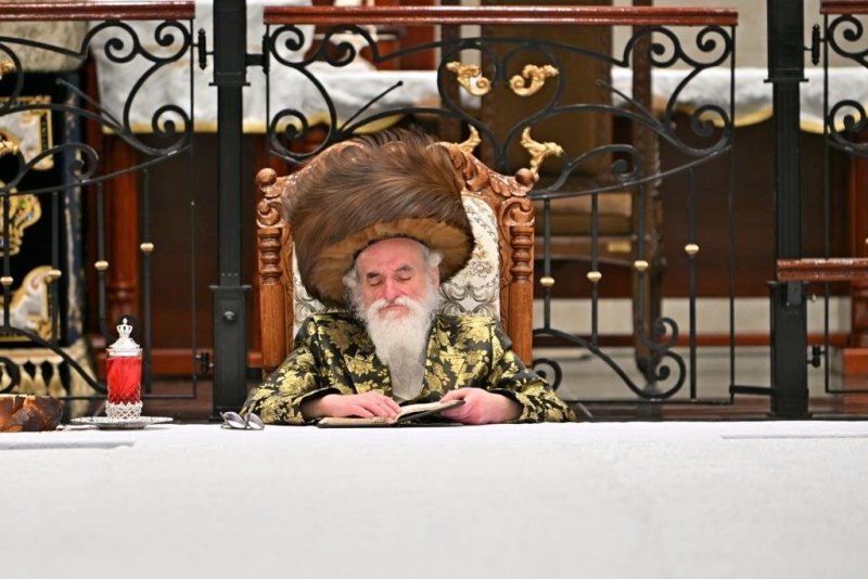 יהושע פרוכטר