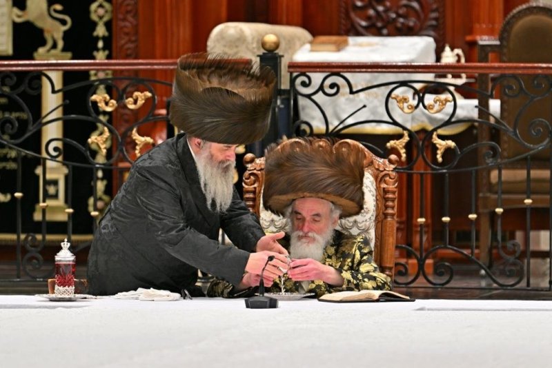 יהושע פרוכטר