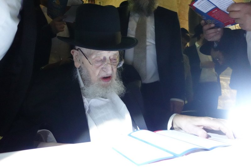 שוקי לרר