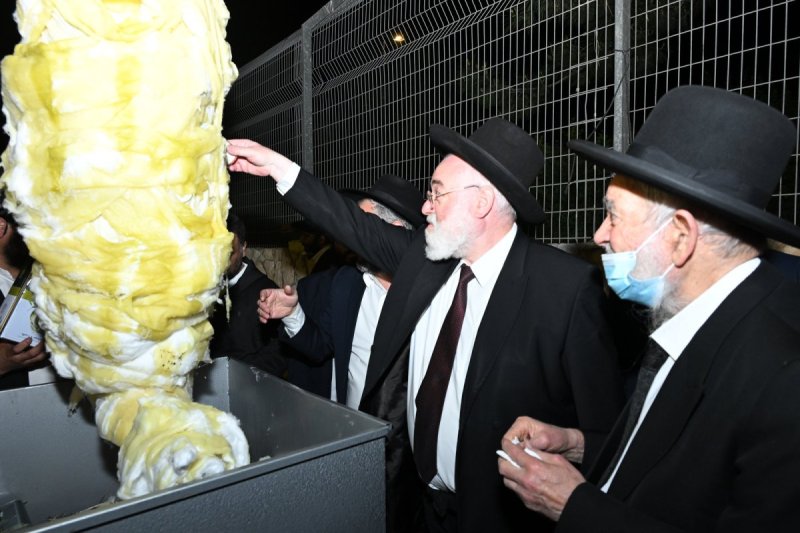רפאל חסון