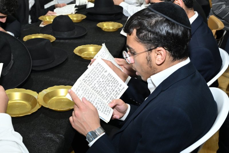 רפאל חסון