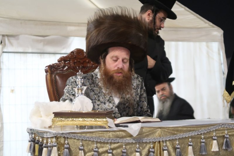 י. פריד