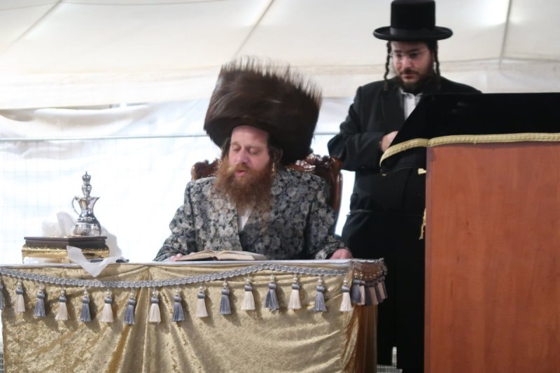 י. פריד