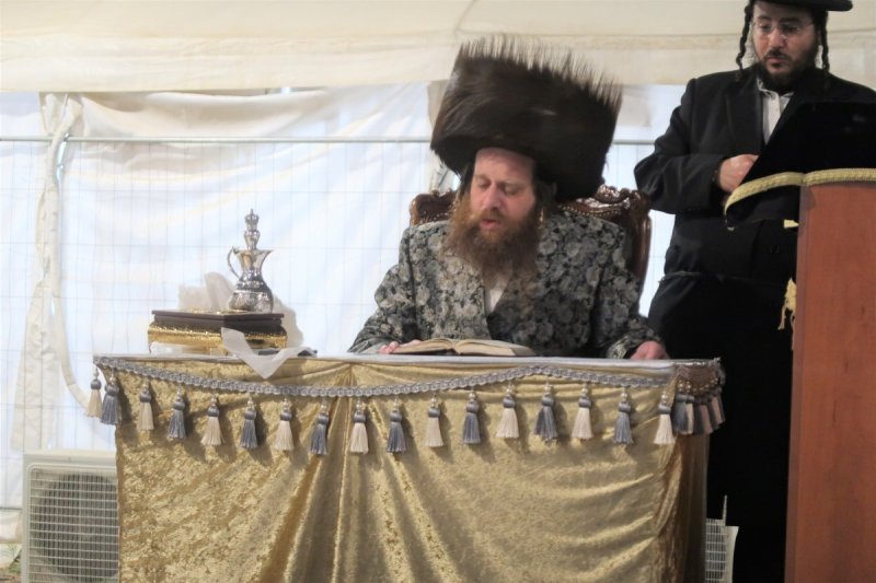 י. פריד