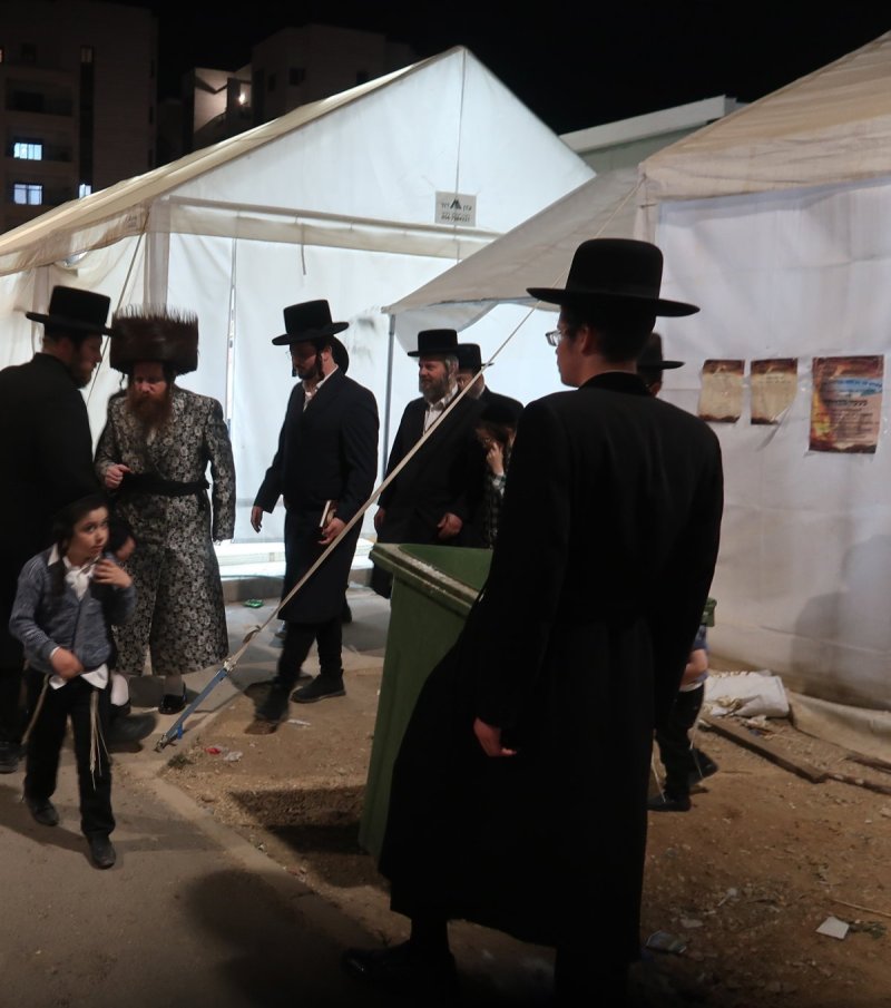 י. פריד