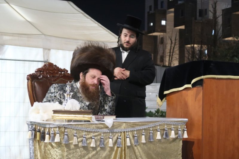 י. פריד