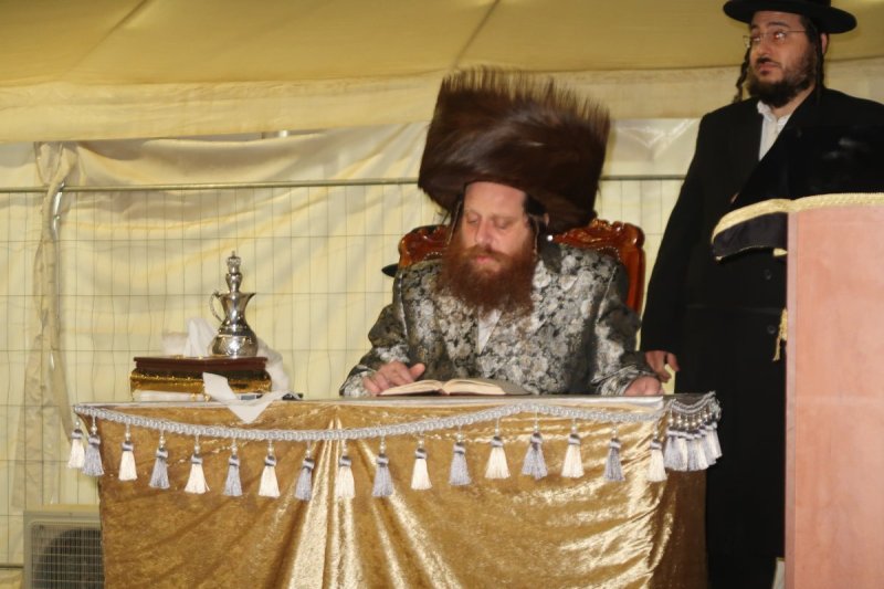 י. פריד