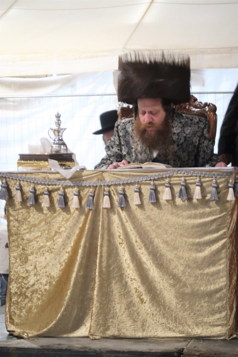 י. פריד