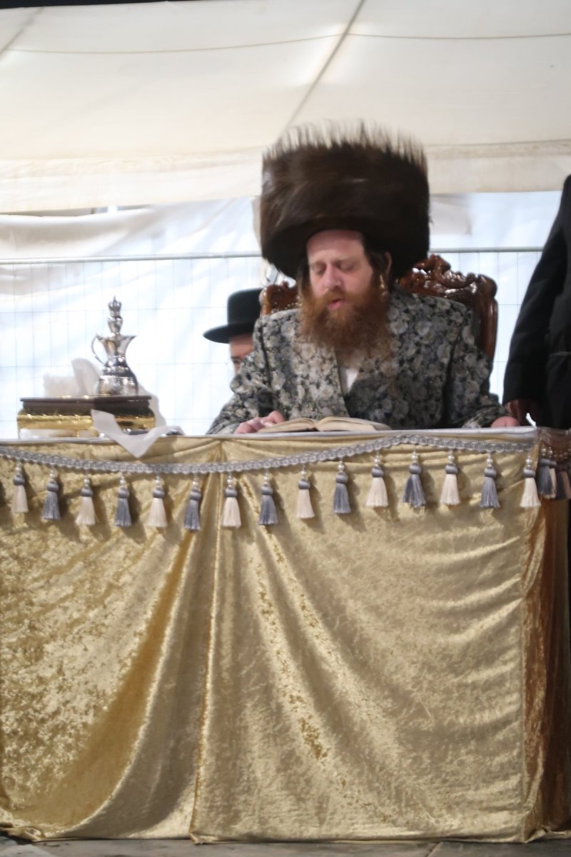 י. פריד