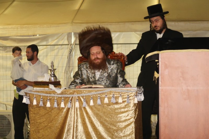 י. פריד