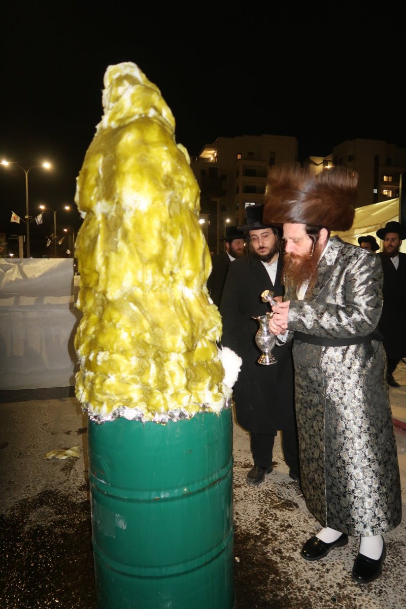 י. פריד