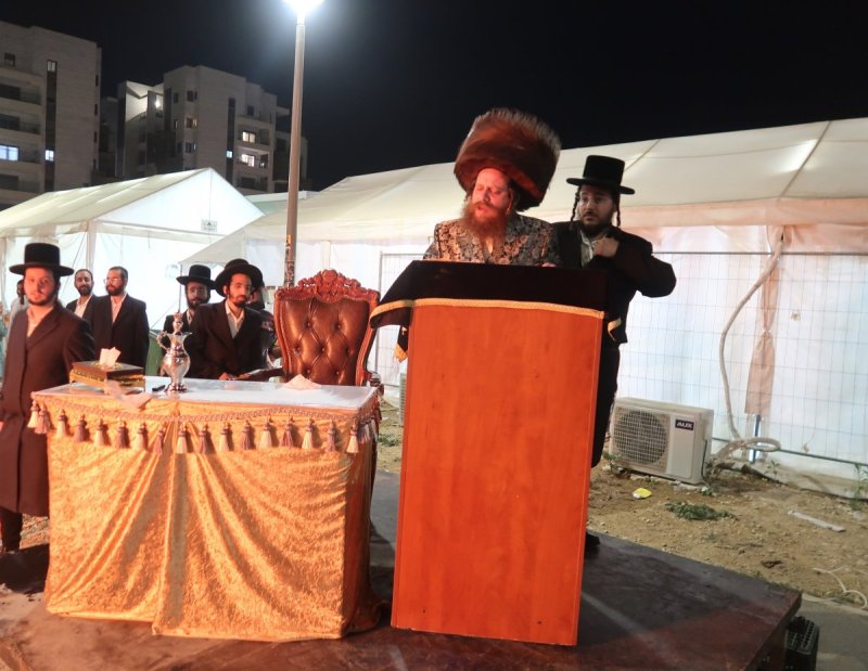 י. פריד