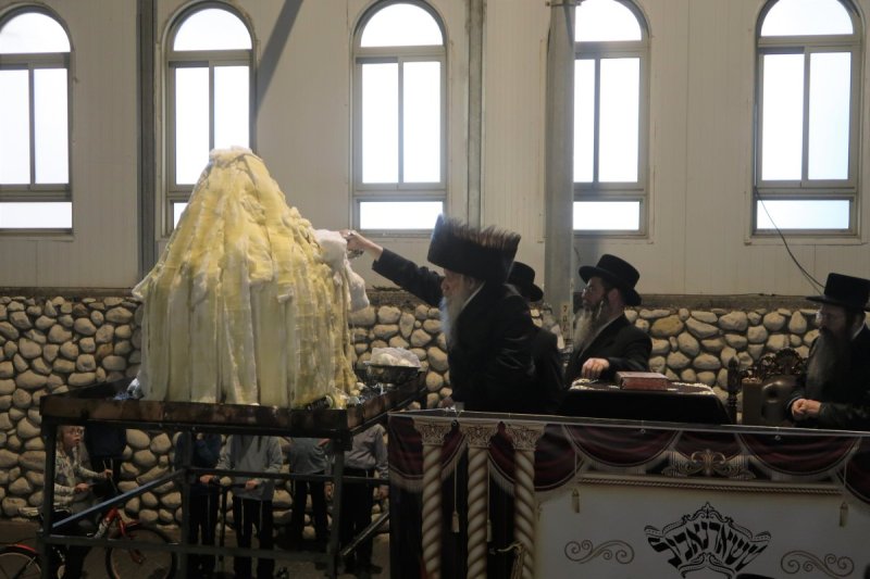 שימי פ.