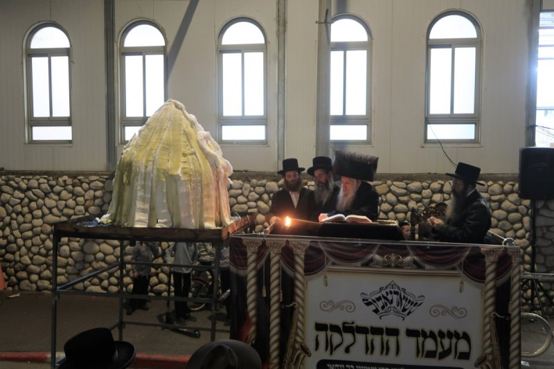 שימי פ.