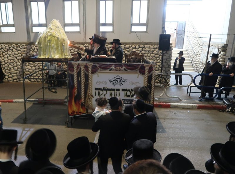 שימי פ.