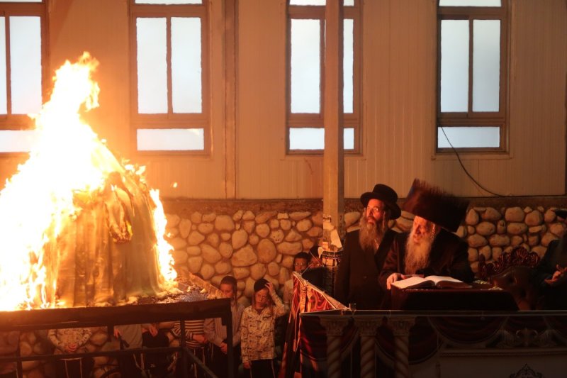 שימי פ.