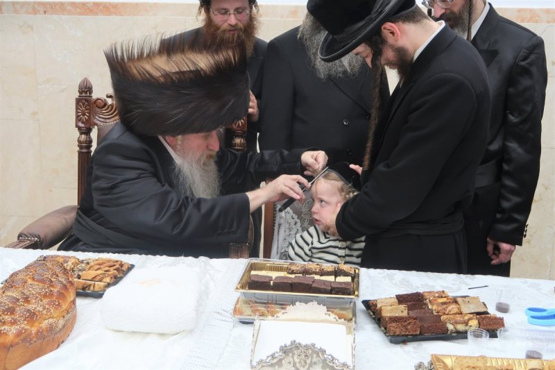 שימי פ.