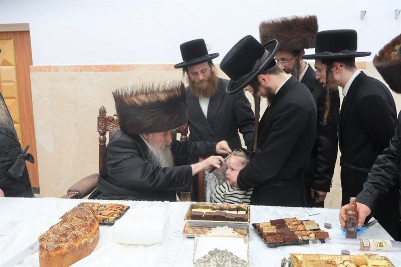 שימי פ.