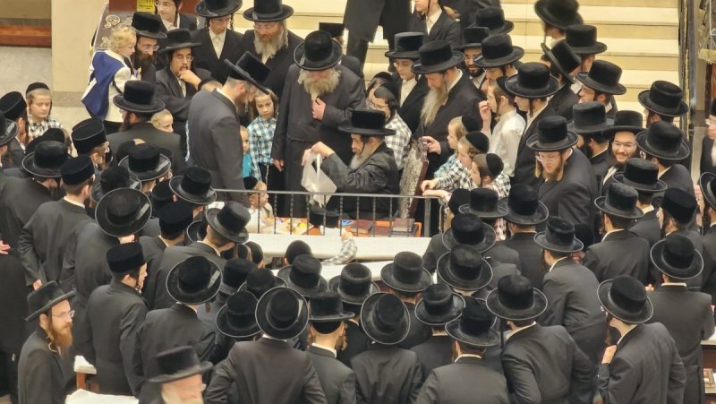 באדיבות המצלם