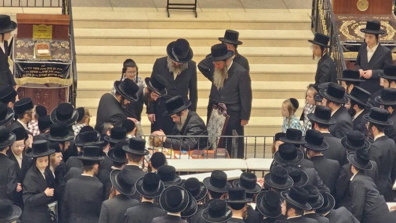 באדיבות המצלם