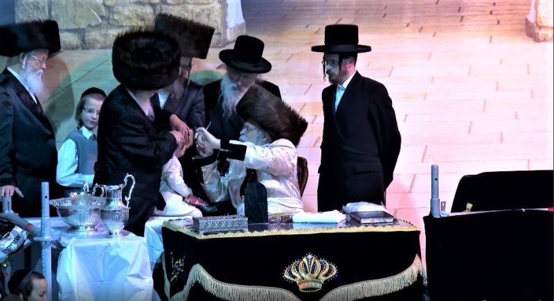 שלומי טריכטר