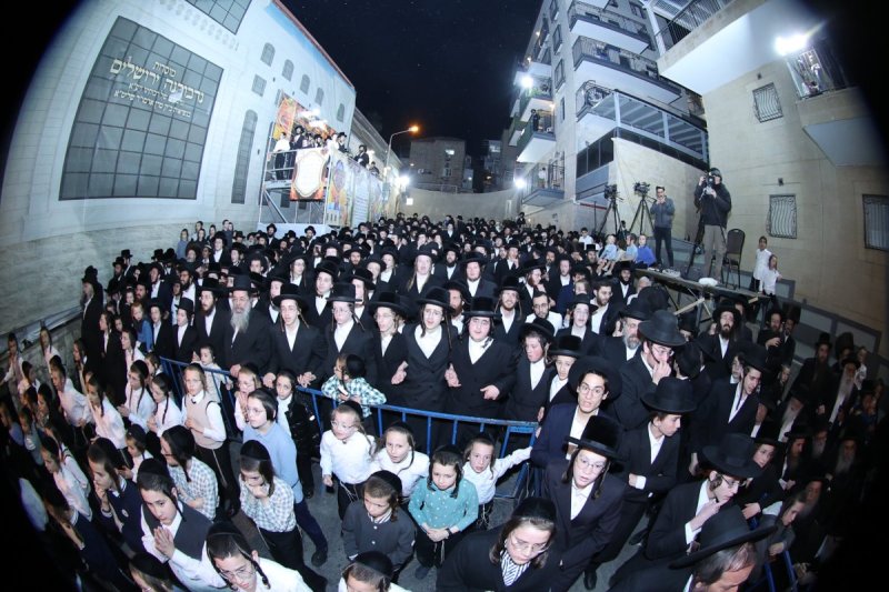 שלומי טריכטר