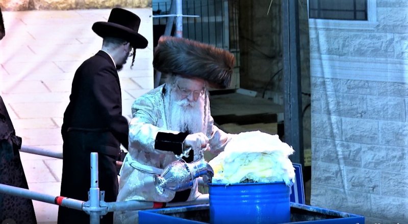 שלומי טריכטר