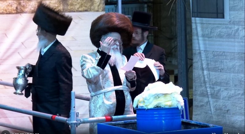 שלומי טריכטר