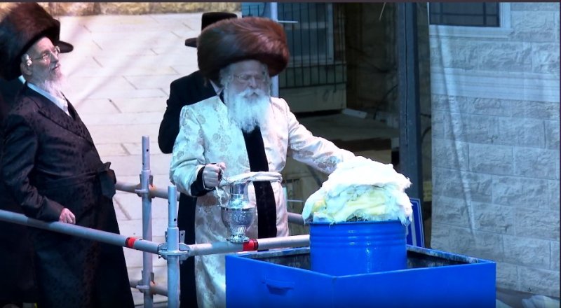 שלומי טריכטר