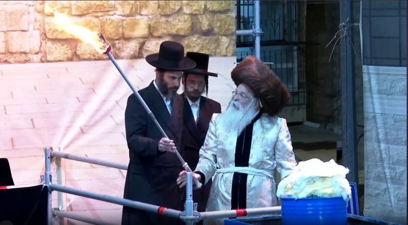 שלומי טריכטר