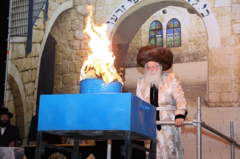 שלומי טריכטר